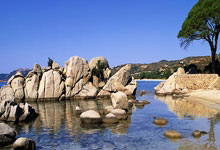 为什么会存在美团核销第三方接口API服务商